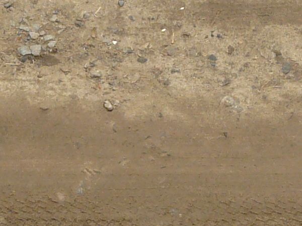 Texture of wet road with mixed, dirt and gravel surface and vegetation at boarders.